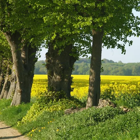 Duxcaar * Groß Schwansee