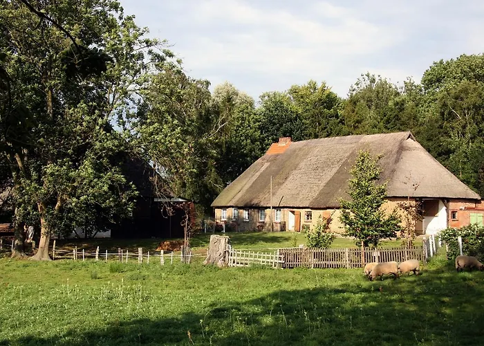 Duxcaar * Groß Schwansee