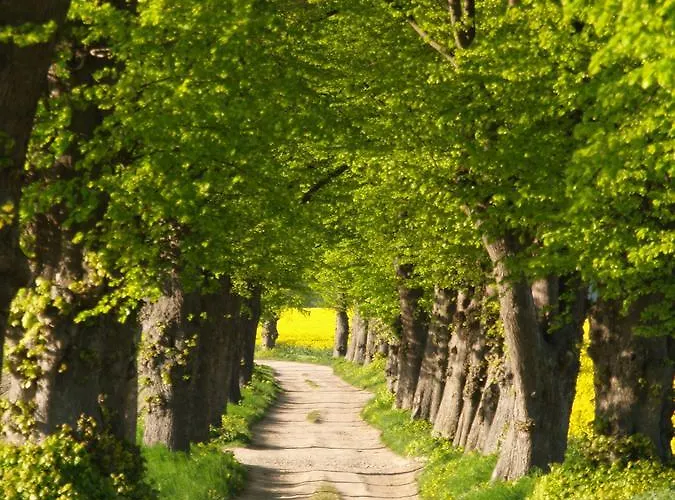 Duxcaar 빌라 Groß Schwansee