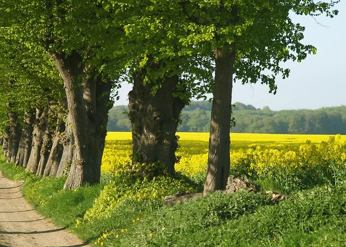 Duxcaar * Groß Schwansee